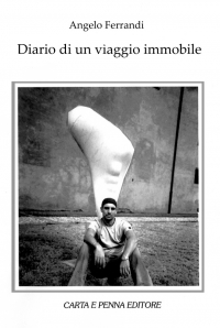 Copertina Diario di un viaggio immobile