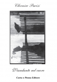 Copertina VIANDANTE NEL CUORE