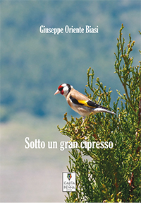 Copertina SOTTO UN GRAN CIPRESSO