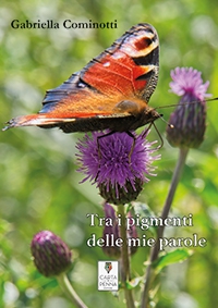 Copertina Tra i pigmenti delle mie parole