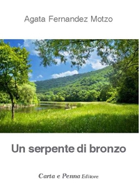 Copertina UN SERPENTE DI BRONZO