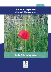 Copertina COME UN PAPAVERO AI BORDI DI UN CAMPO